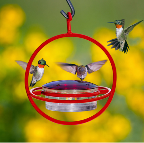 7 Hanging Sphere Hummingbird Feeder