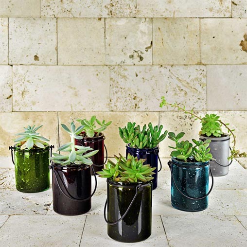 12 Ounce Capacity-Provides ample space for succulent containers