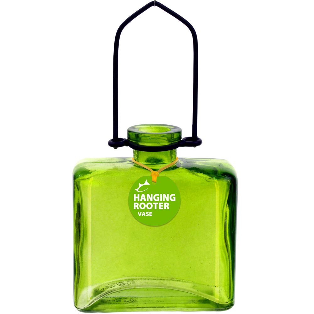Hanging Matic Recycled Glass Rooting Vase - Lime