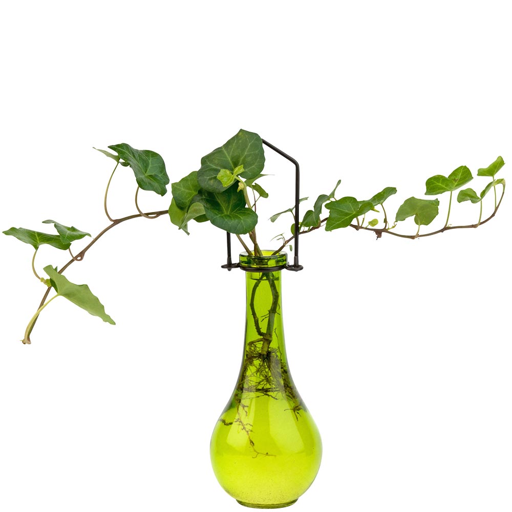 Hanging Drop Recycled Glass Rooting Vase - Lime