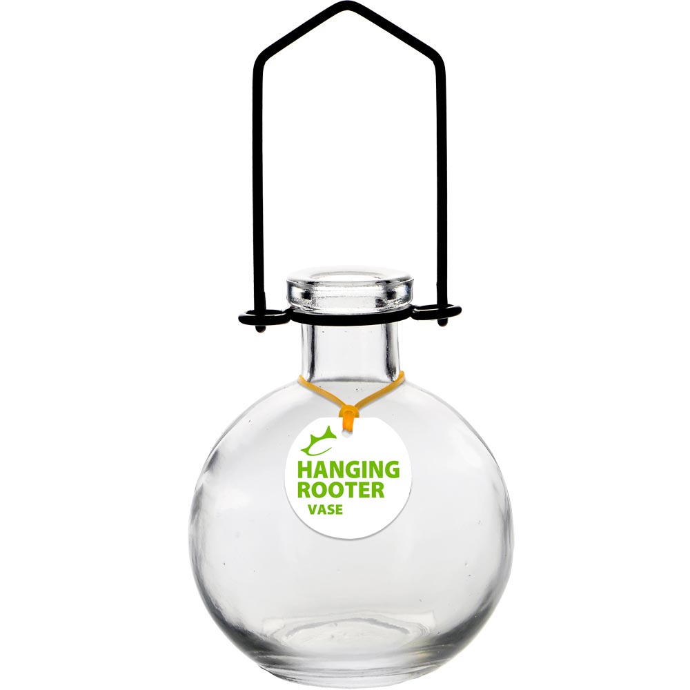 Hanging Ball Recycled Glass Rooting Vase - Clear