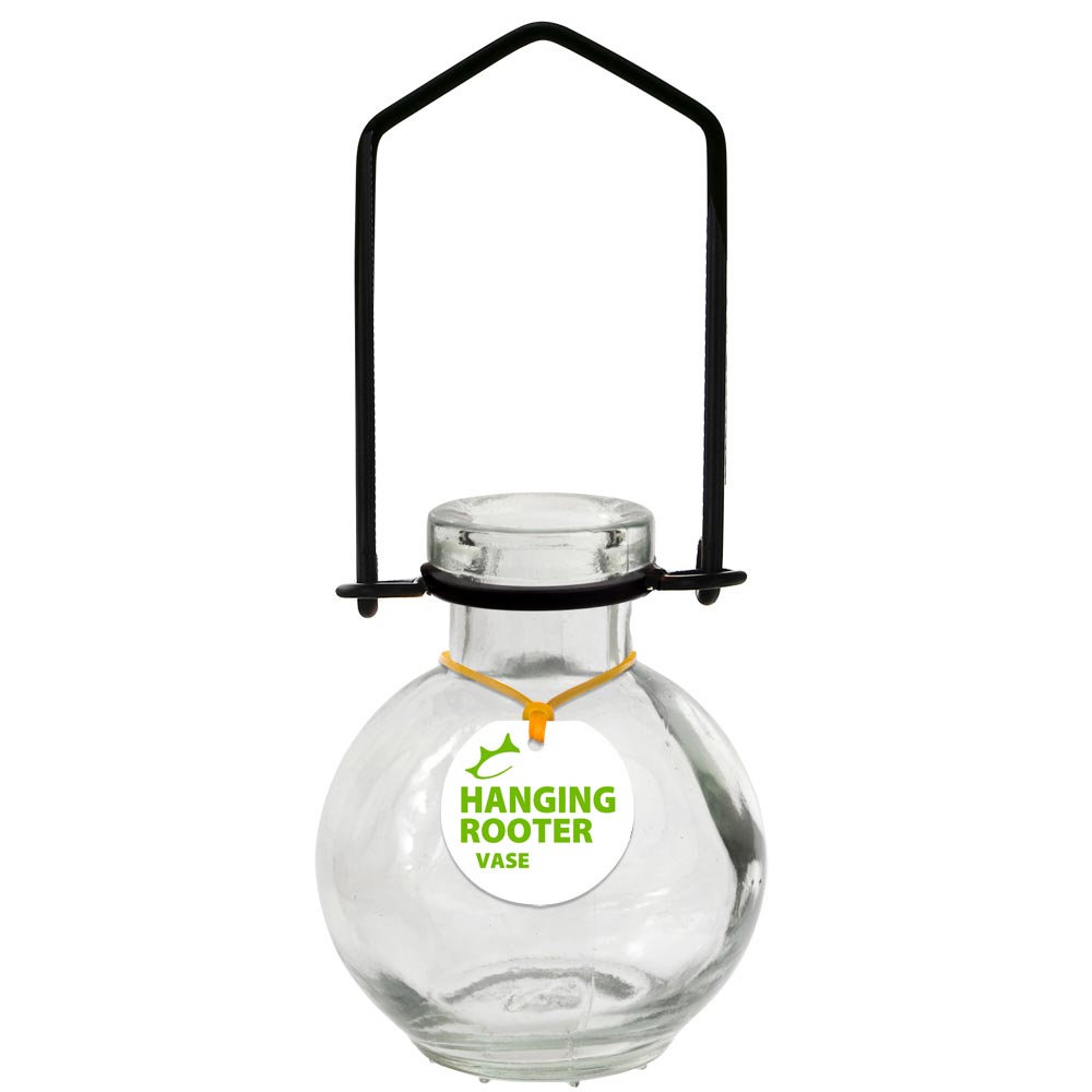 Hanging Small Ball Recycled Glass Rooting Vase - Clear