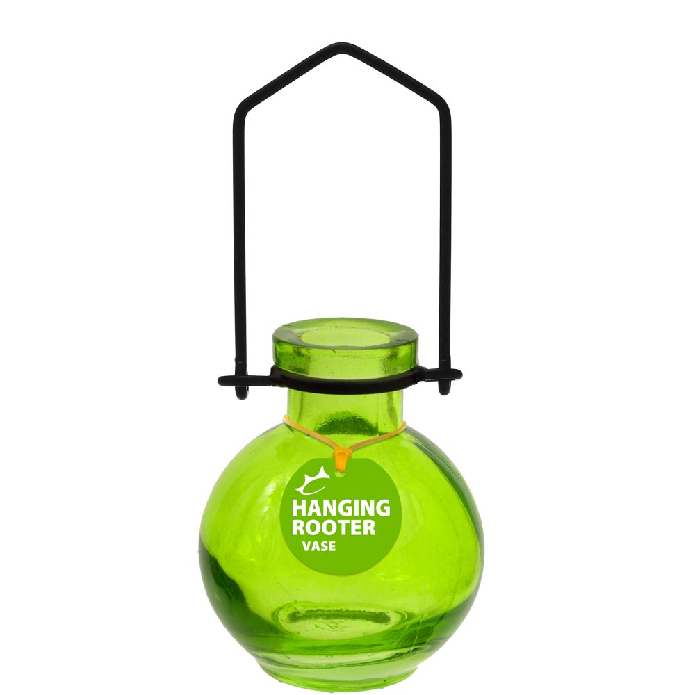 Hanging Small Ball Recycled Glass Rooting Vase - Lime