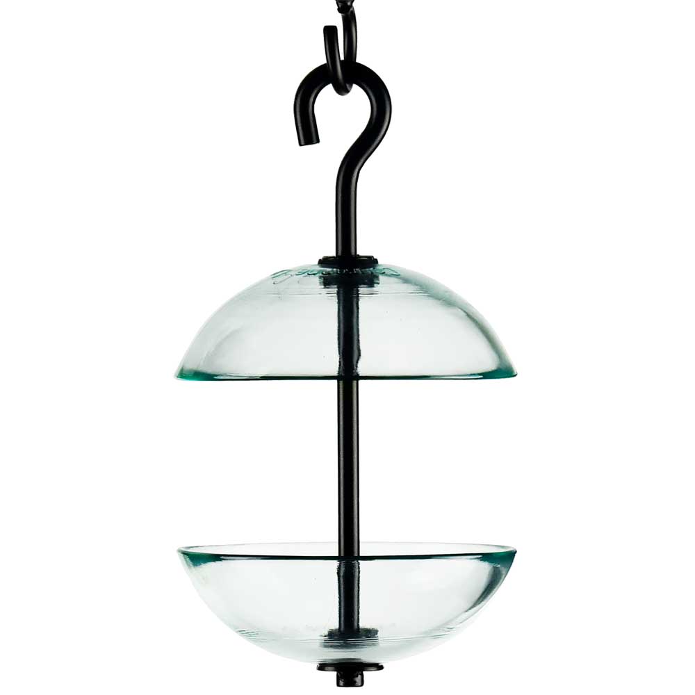 Double Hanging Poppy Feeder Clear