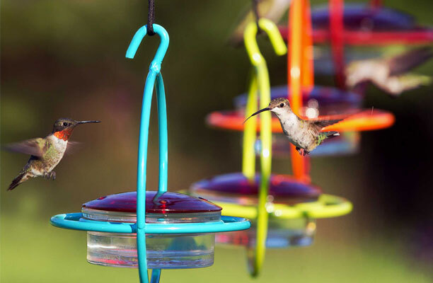 mosaic-birds-hummble-bold-color-feeders.jpg