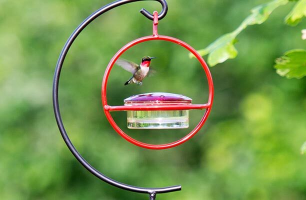 mosaic-birds-hummingbird-garden-stake.jpg